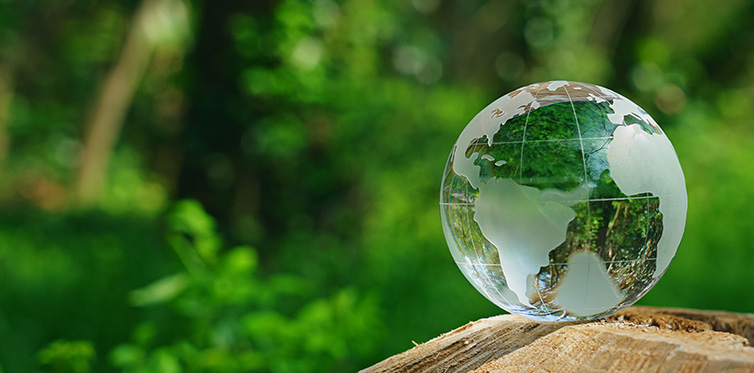 Sustainability
